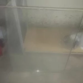 Penjire ayna