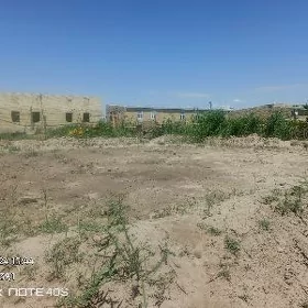 SATLYK  kone ayraport  daca