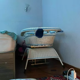 elektricheski caga sallancak