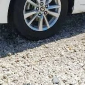 25 camry dysga