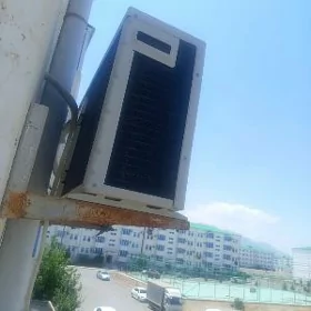 vestel 40 lyk