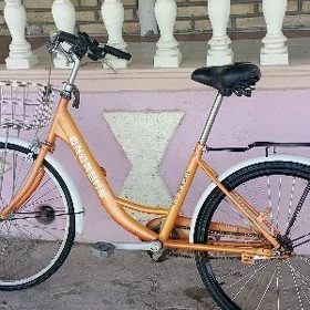 ýapoşka tigir