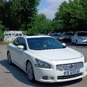 Nissan Maxima 2011