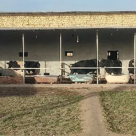 nury, нуры, dokun