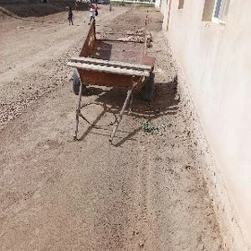 esak arwa