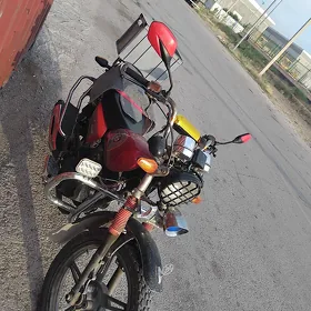 Fekon FK150-8G 2020