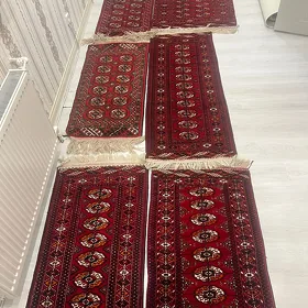 El halyçalar