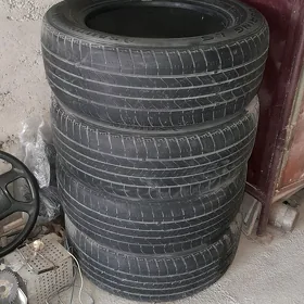 16 lyk pokryşka