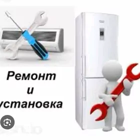 Kansaner ussa