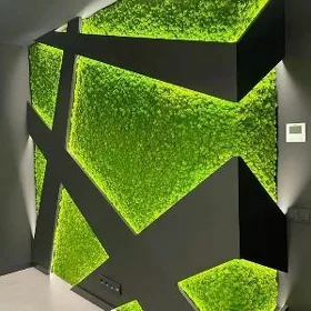 Фитостена из мха