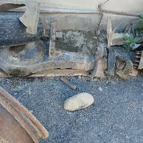 kici mos