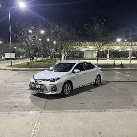 Toyota Corolla 2019