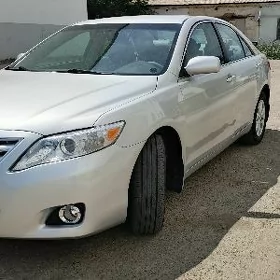 Toyota Camry 2010