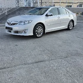 Toyota Camry 2014
