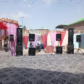 Toy kolonkalar wd apparatlar