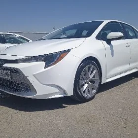 Toyota Corolla 2024