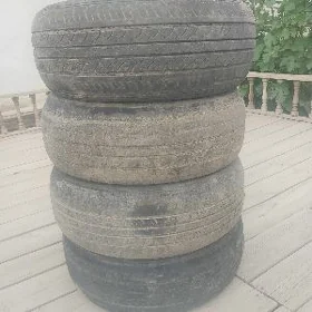 195.60.15