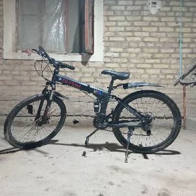 TigirTigir