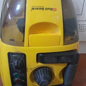 Plesos