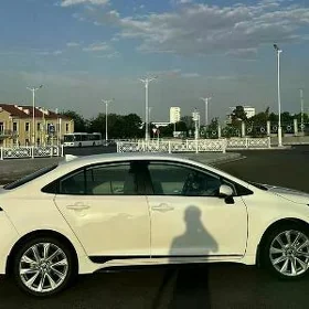Toyota Corolla 2023