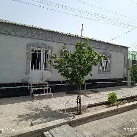 Coganly