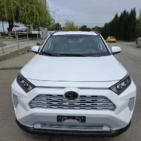 Toyota RAV4 2021