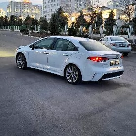 Toyota Corolla 2021