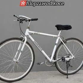 welosiped
