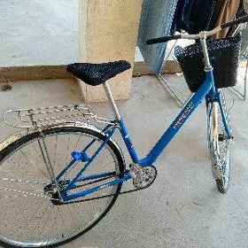 ÝAPOŞGA TIGIR 27 LIK