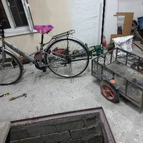 27 tigir skosly yapinka