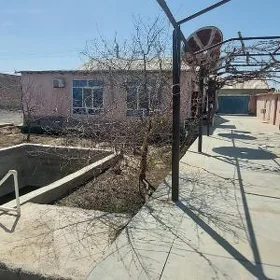 плановый дом
