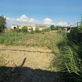 Daça