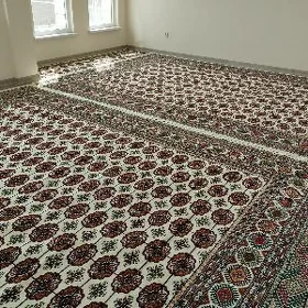 buzmeyin Gunes