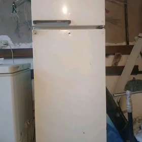 Haldinik rasiski mator goýmali