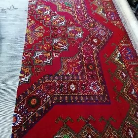 gapjyk taýyn görnüşi dokalşy g
