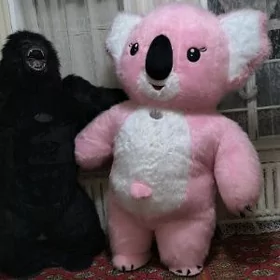 Surpriz Mishkalary