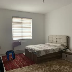 mir8, 2kom,