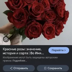 розы 