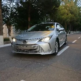 Toyota Corolla 2021