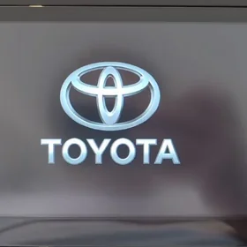 Rav 4 uli manitor