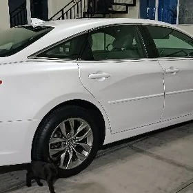 Toyota Avalon 2019