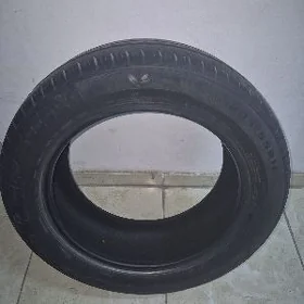 Teker 205/55/16
