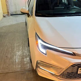 Toyota Corolla 2024