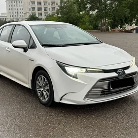 Toyota Corolla 2023