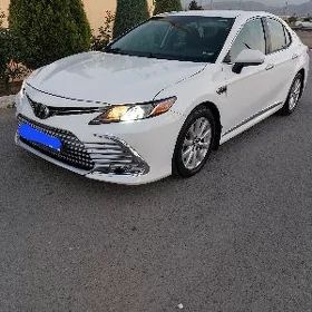 Toyota Camry 2019