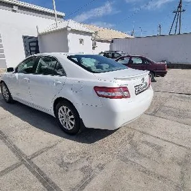 Toyota Camry 2010