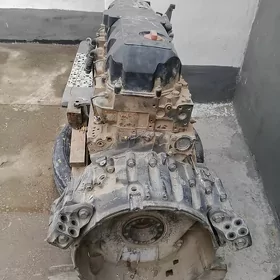 DAF mator