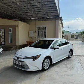 Toyota Corolla 2025
