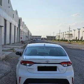 Toyota Corolla 2020