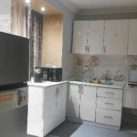 SATLYK 30 MKR 1KOM